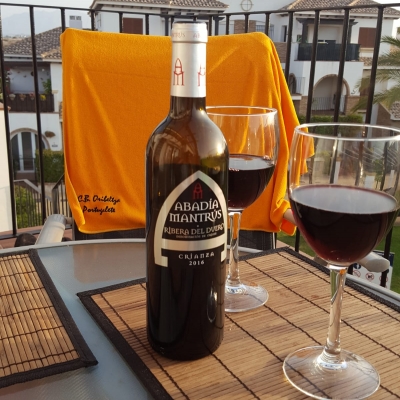 2019-07-05 Cata de vinos en Vera (Almería)
